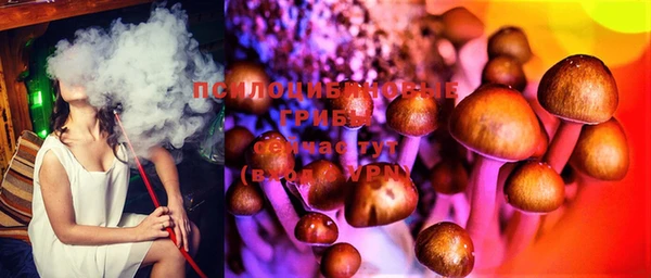 MESCALINE Верея